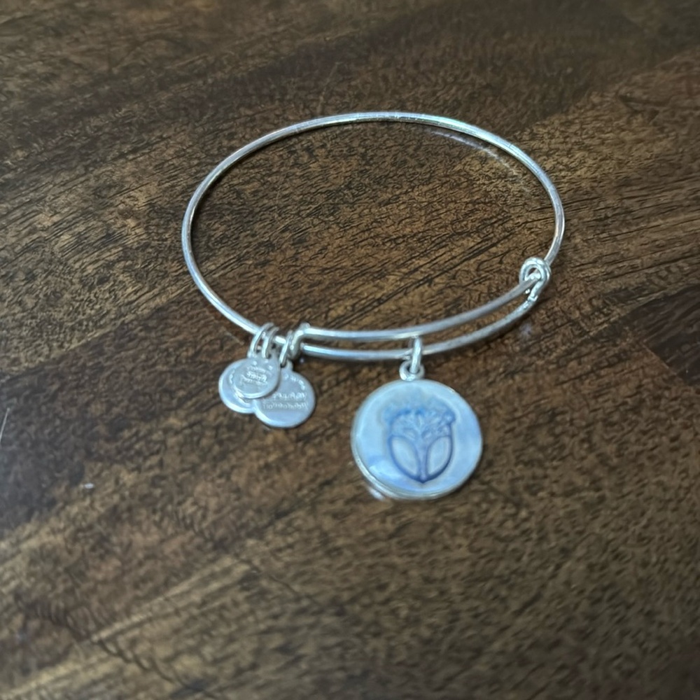 Alex and Ani bracelet